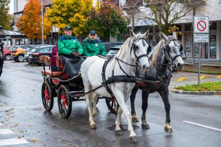 Konjeniški pohod Konjerejskega društva Radohova vas 1